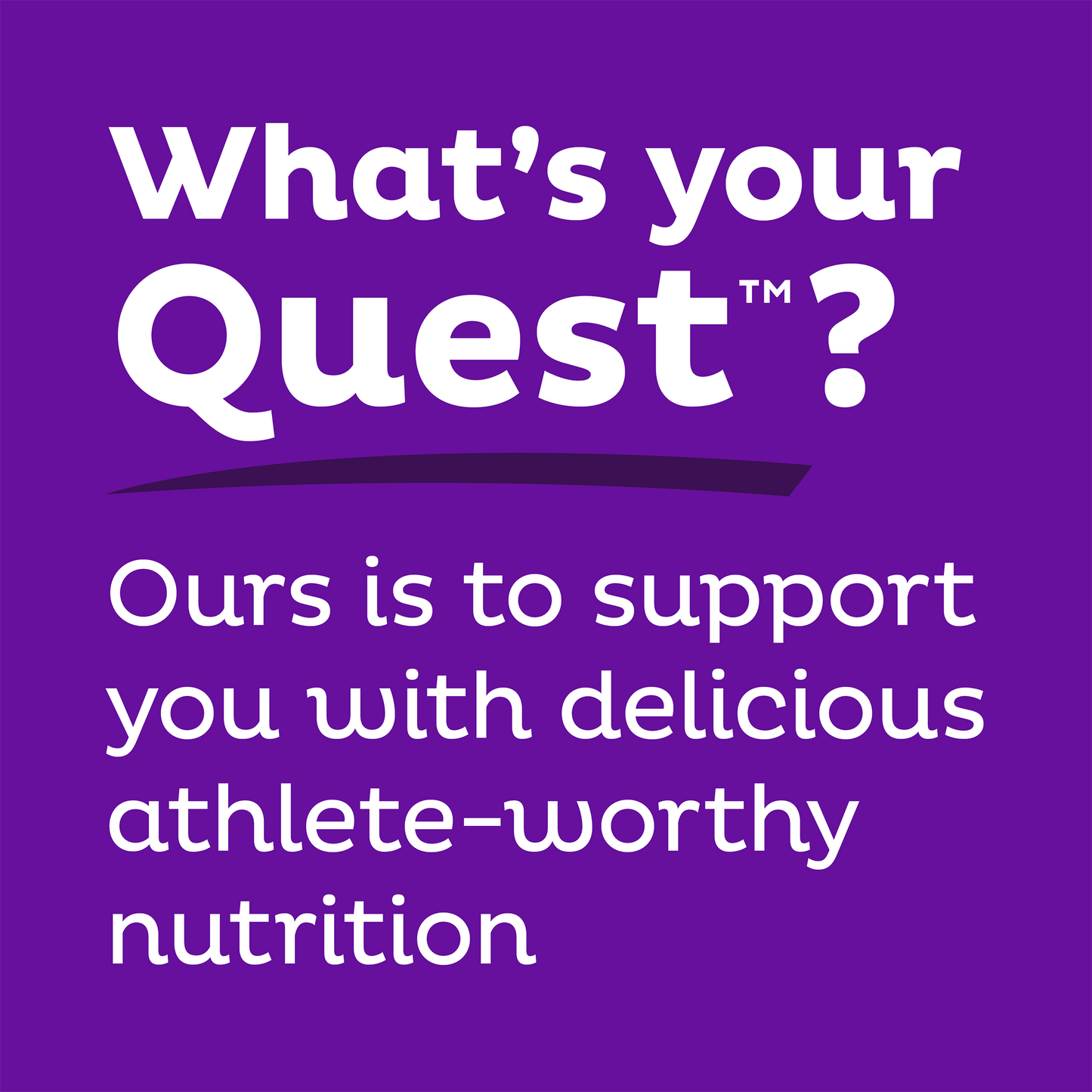 double-chocolate-chunk-protein-bars-v1 qst-000241_double-chocolate-chunk-protein-bars_9.png